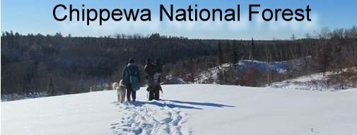 Chippewa National Forest